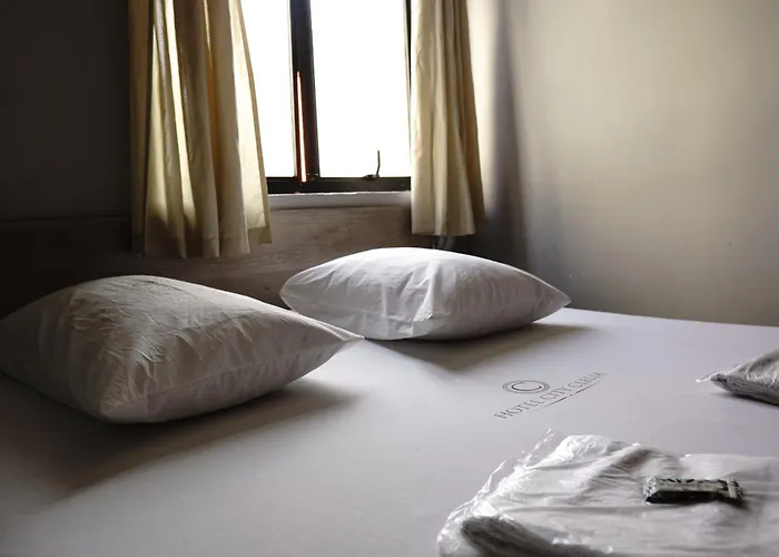 Hotel City Clelia